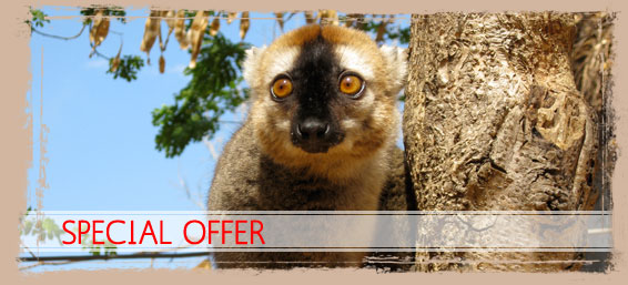 Madagascar tour guide, Special Offers