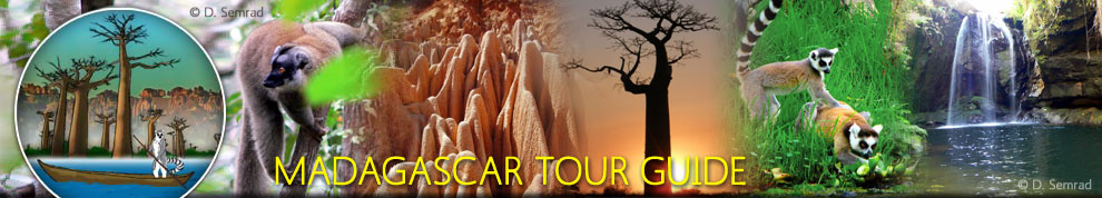 Madagascar Tour Guide | The Easy way to discover Madagacsar